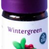 Wintergreen Bio Öl