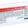 Aesculus Gastreu R 42 Injekt Ampullen 10 X 2 ml
