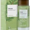 Thuja D6 Globuli Pflüger 10 g